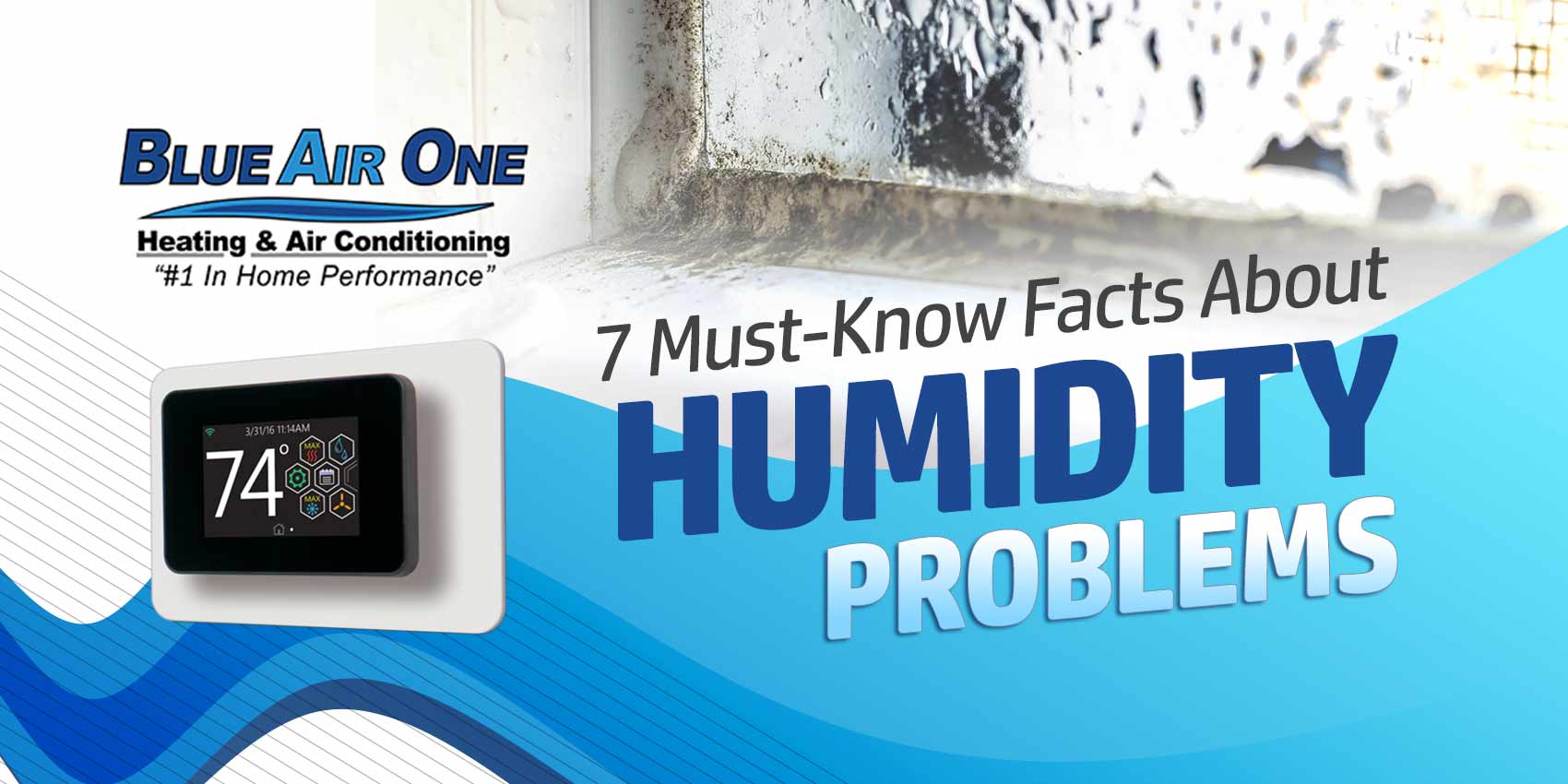 7 Must-Know Facts About Humidity Problems