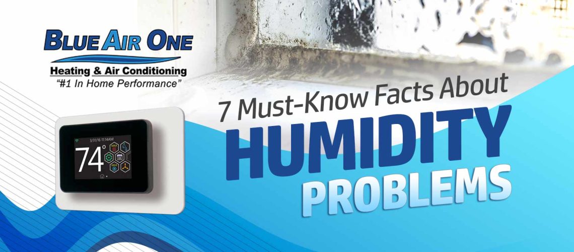 7 Must-Know Facts About Humidity Problems