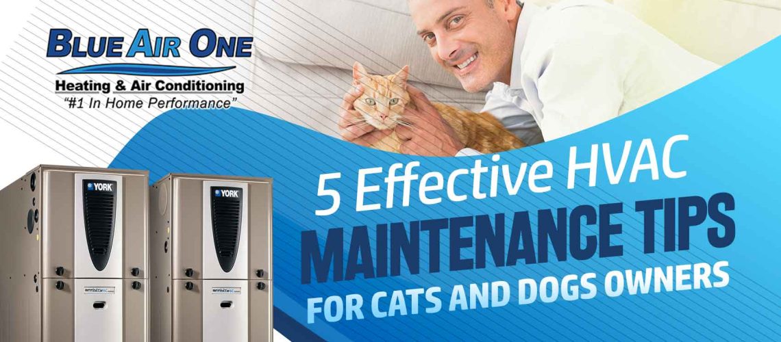 5 Effective HVAC Maintenance Tips for Cats and Dogs Owners